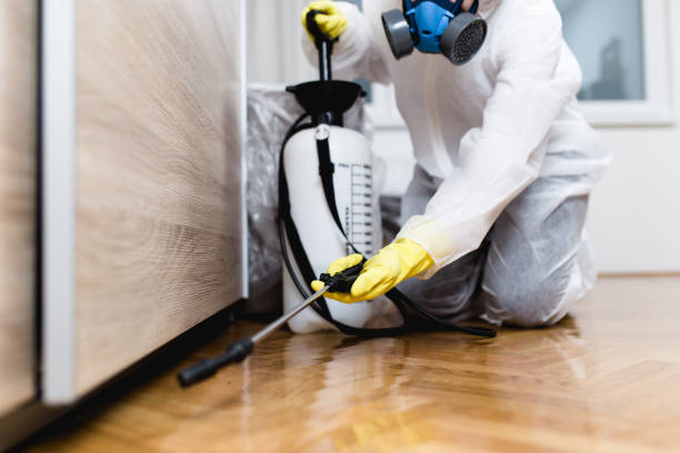 Best Emergency Pest Control  in Tybee Island, GA