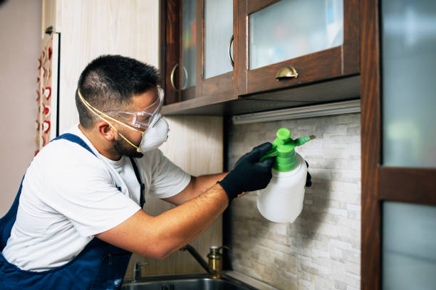 Best Pest Removal Services  in Tybee Island, GA