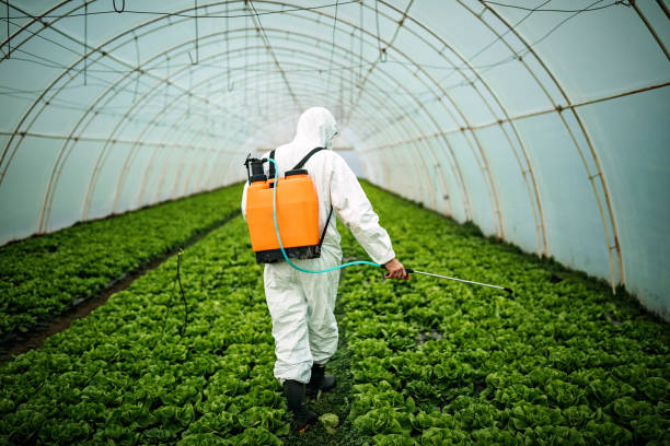 Best Commercial Pest Control Services  in Tybee Island, GA