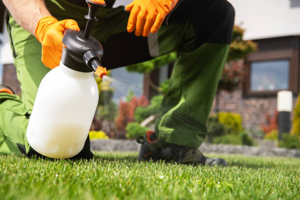 Best Residential Pest Control  in Tybee Island, GA