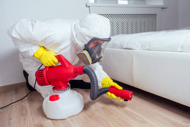 Best Local Pest Control Services  in Tybee Island, GA