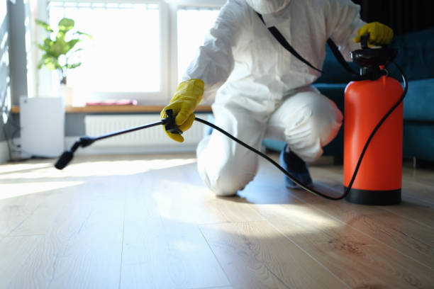 Reliable Tybee Island, GA Pest Control Solutions