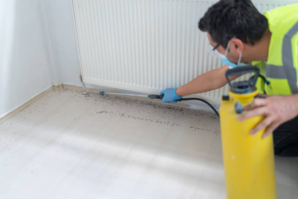 Best Best Pest Control Companies  in Tybee Island, GA